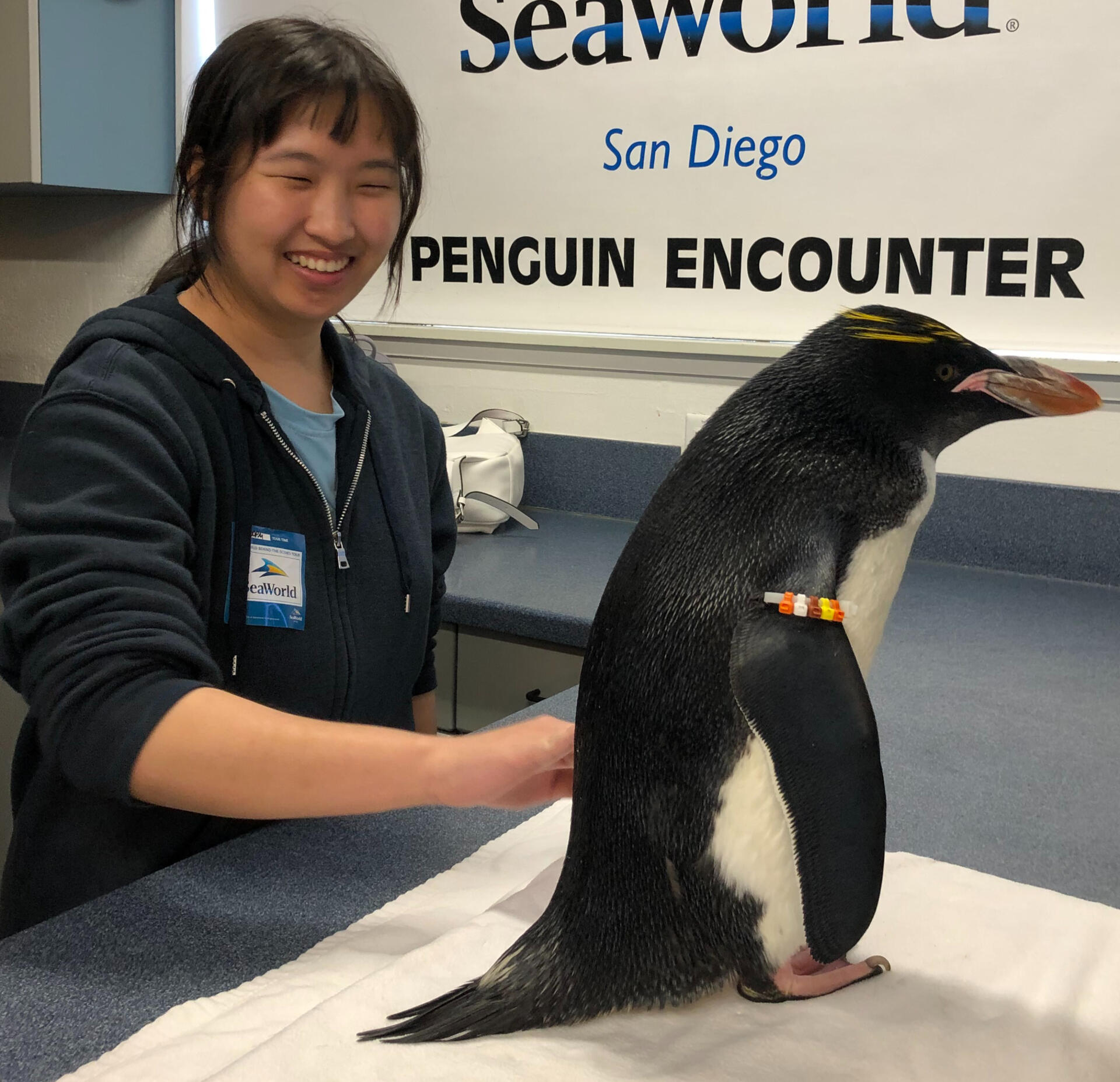Nina Hahn Image of Nina touching a penguin for the first time
